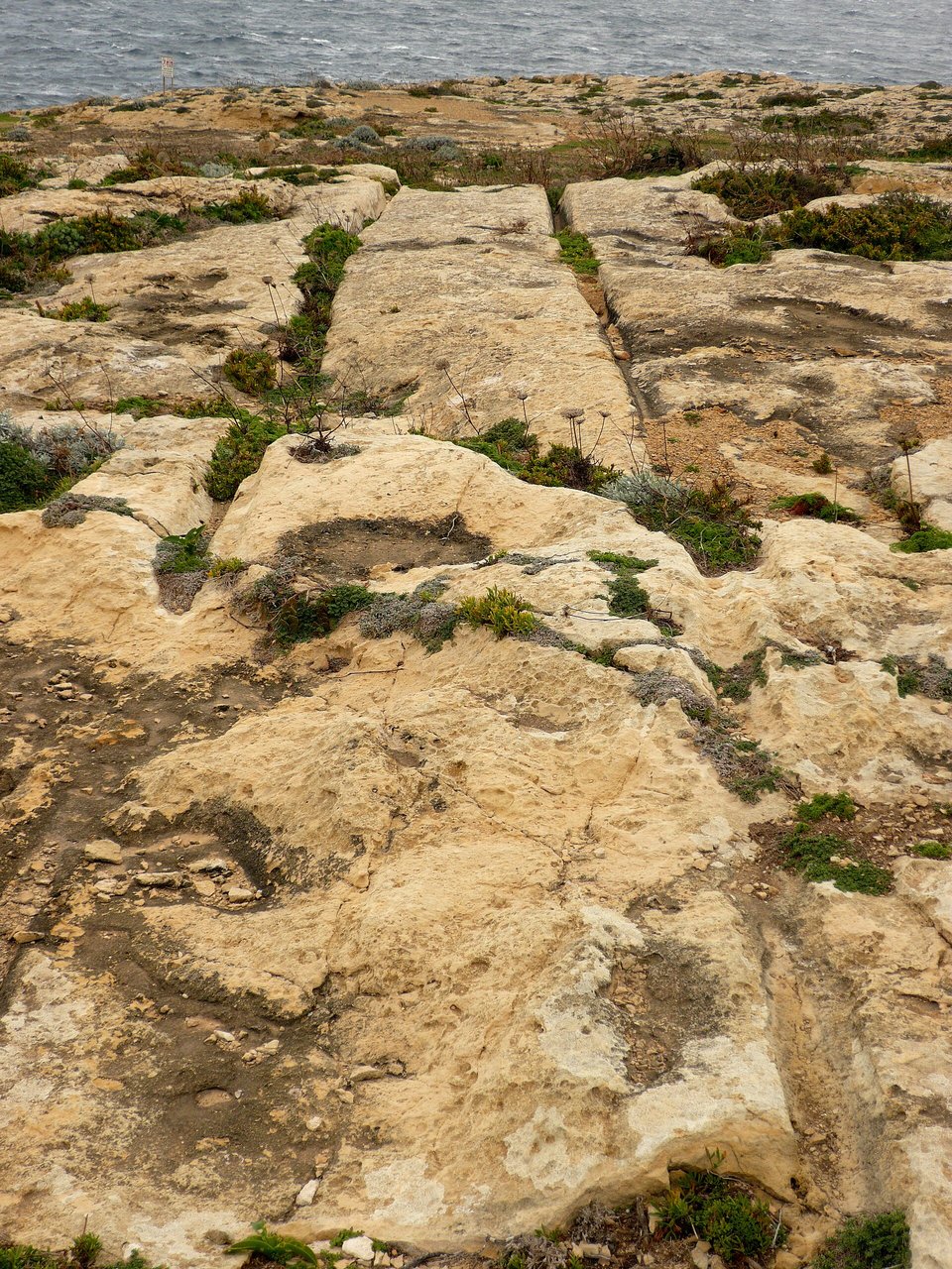 Long parallel grooves in warm-coloured limestone crossing a second pair at right angles, scrub between the ridges and a strip of sea at the top