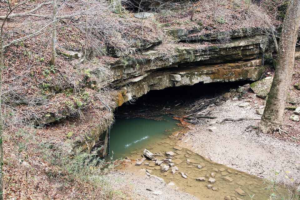 A low limestone overhang above a green pool, water seeping out from the dark beneath it, autumn leaves on the banks