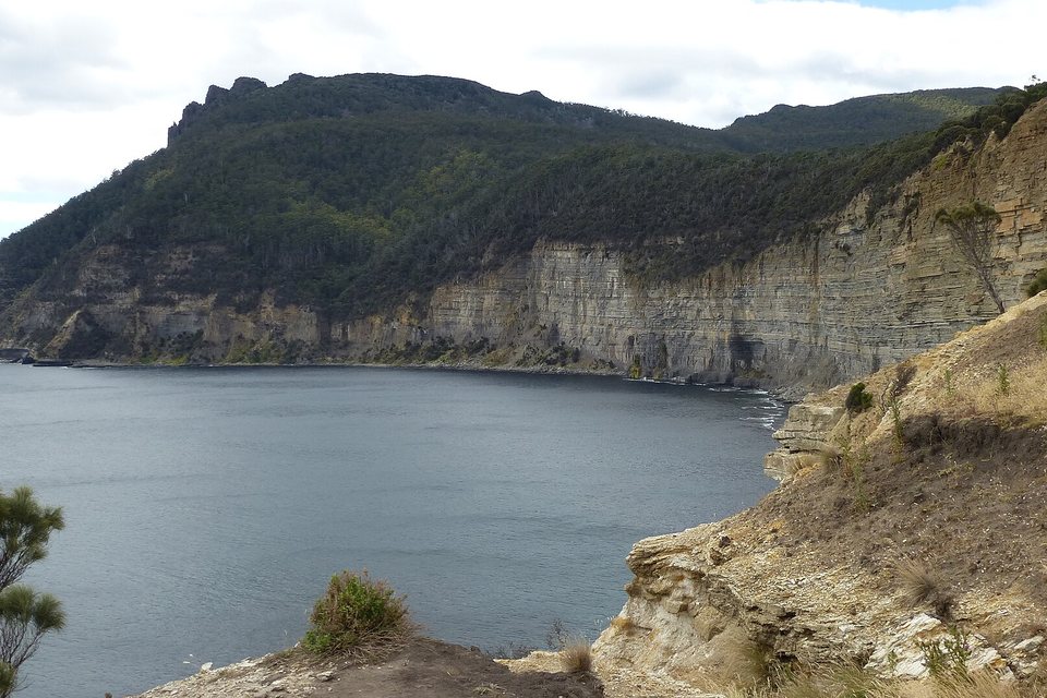 Layered pale cliffs along a calm bay below a forested ridge with a jagged summit, under a white sky