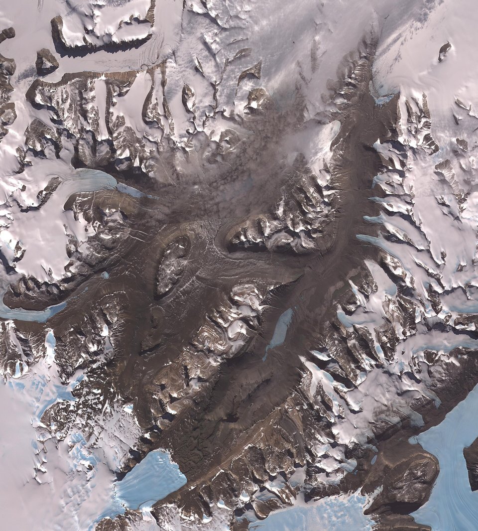 A satellite image of dark brown ice-free valleys between white glaciers, with pale blue lakes of ice at the edges
