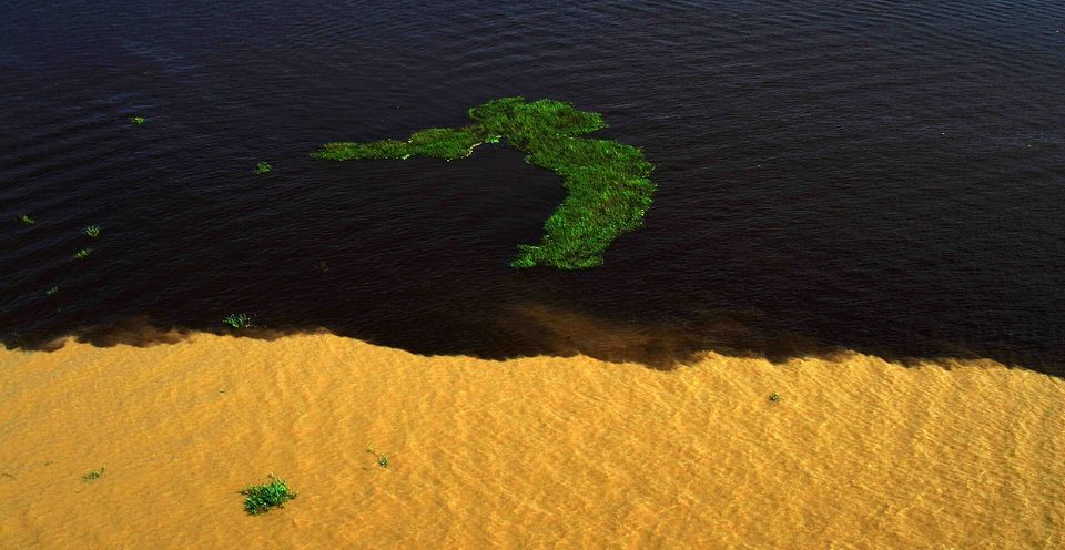 Jet-black river water above a band of ochre water, a sharp line between them, with a patch of green floating plants on the dark side