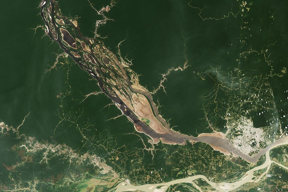 A satellite view of dark green forest cut by a wide, shallow brown river with sandbars, a pale city at its edge and a pale river across the bottom