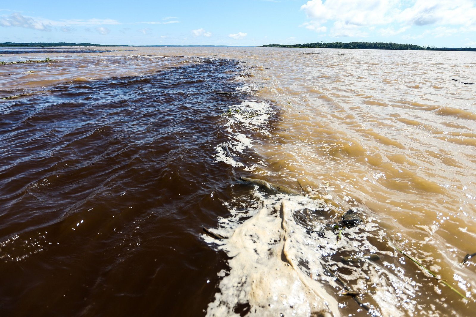 A sharp line across a wide river, dark water on one side and pale brown water on the other, with a thin band of foam along the seam and low forest on the far shore