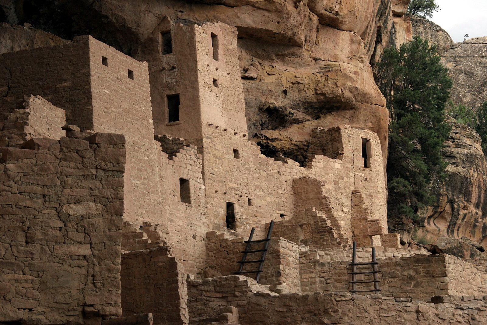 Multi-storey stone houses and a square tower built under a cliff overhang, with two wooden ladders against the walls