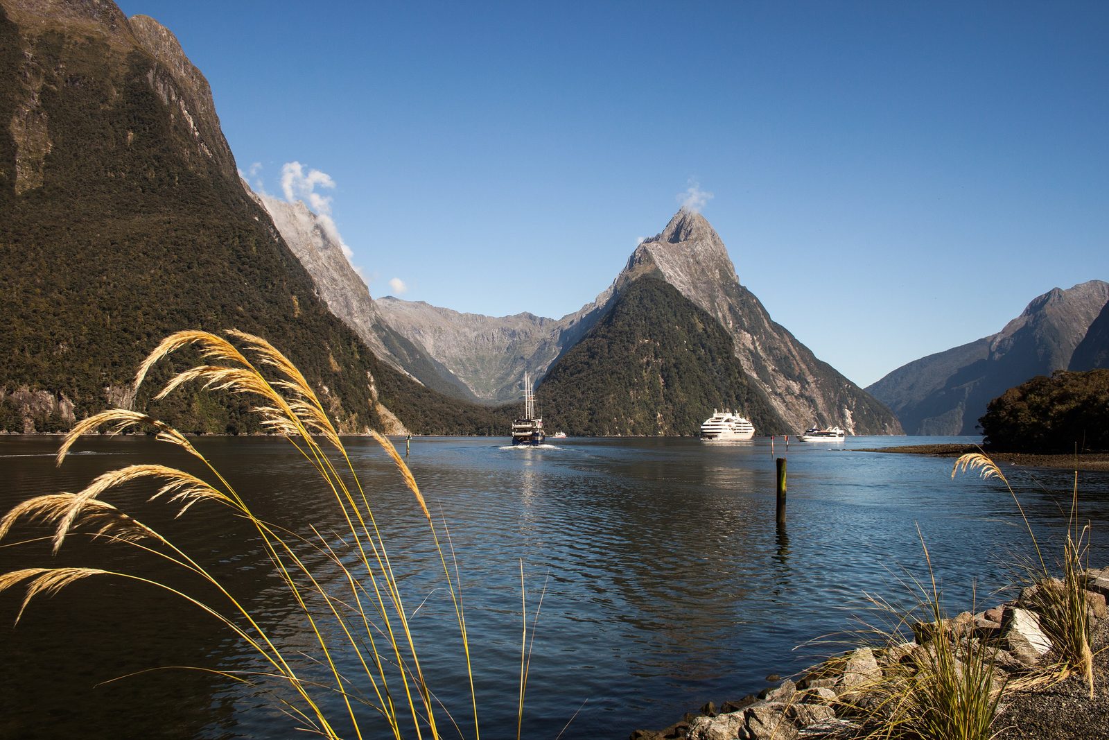 A steep pyramid-shaped peak at the head of a dark fiord, small boats far off on the water, golden tussock in the foreground and a clear blue sky