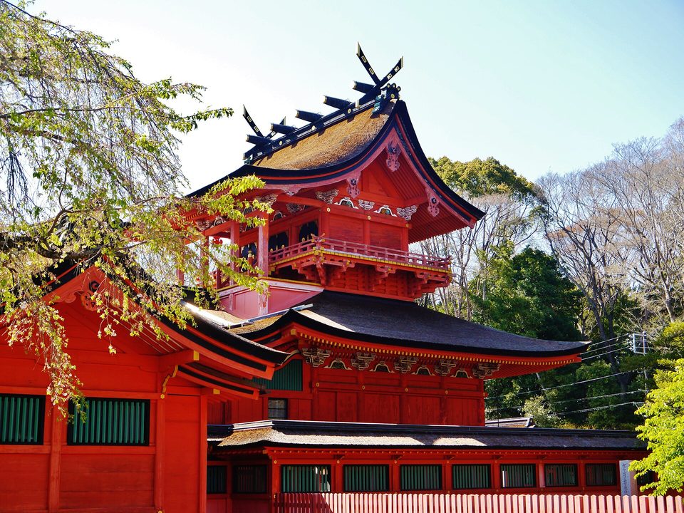 A red and black lacquered shrine hall with a curved roof among fresh green trees