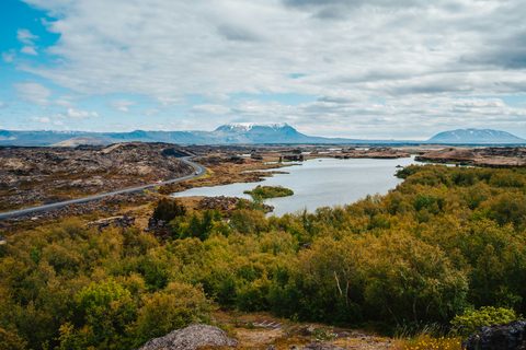 A lake's inlets among dark lava and green birch scrub, with snowy mountains under broken cloud