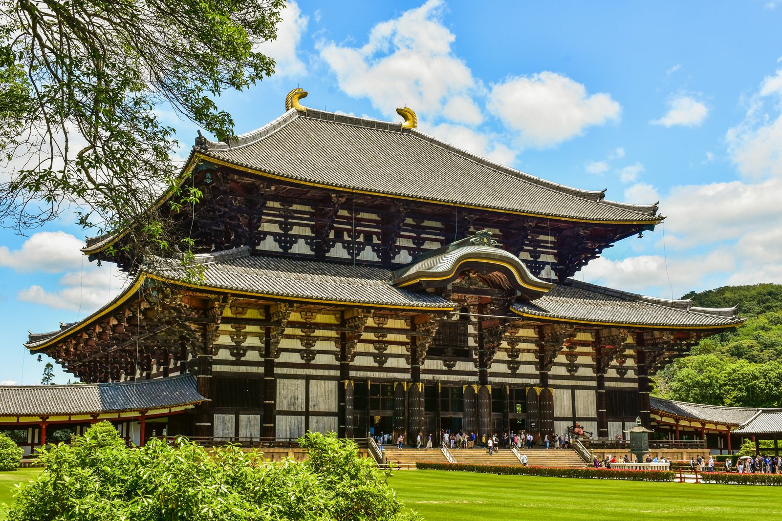 A vast wooden hall with a double roof and golden ornaments on a lawn, under blue sky and cloud