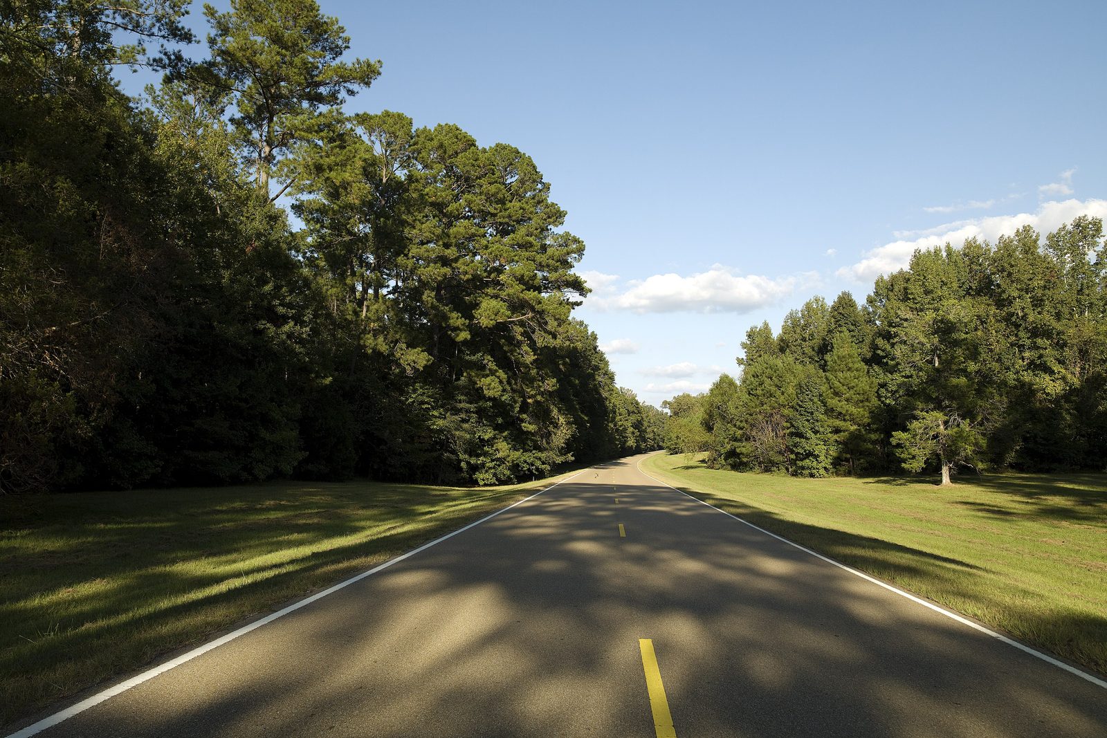 The two-lane Natchez Trace Parkway running straight away between tall pines and mown verges in late afternoon light, tree shadows across the road