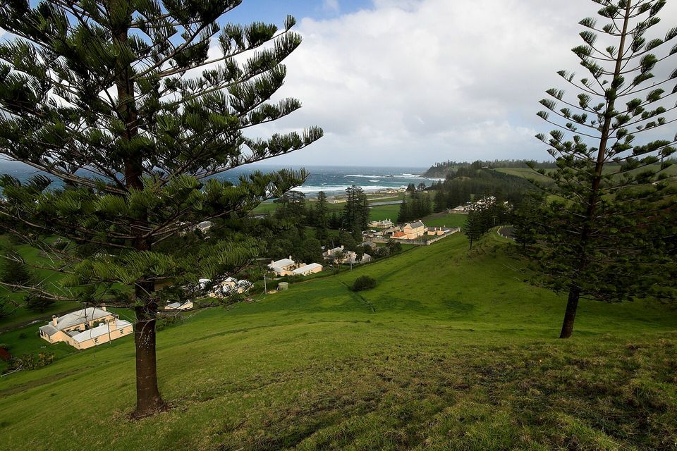 Between two tall Norfolk Island pines, a green hillside runs down to cream stone houses with pale roofs, a wall and a surf-lined coast under a big white cloud