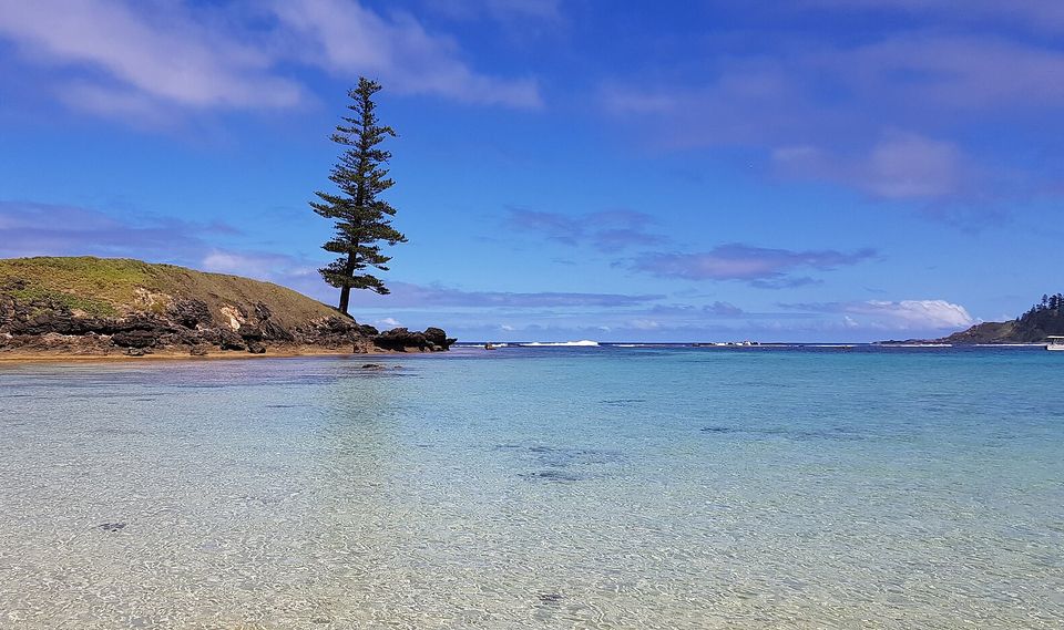 A single tall Norfolk Island pine stands on a low rocky headland above a shallow, clear lagoon under a bright blue sky with streaks of cloud