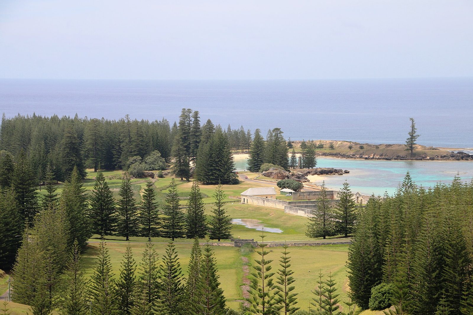 From a hillside, rows of tall dark Norfolk Island pines frame a green lawn with long low stone buildings, a pale turquoise lagoon and a rocky point with one lone pine, under a hazy sky over a deep-blue sea