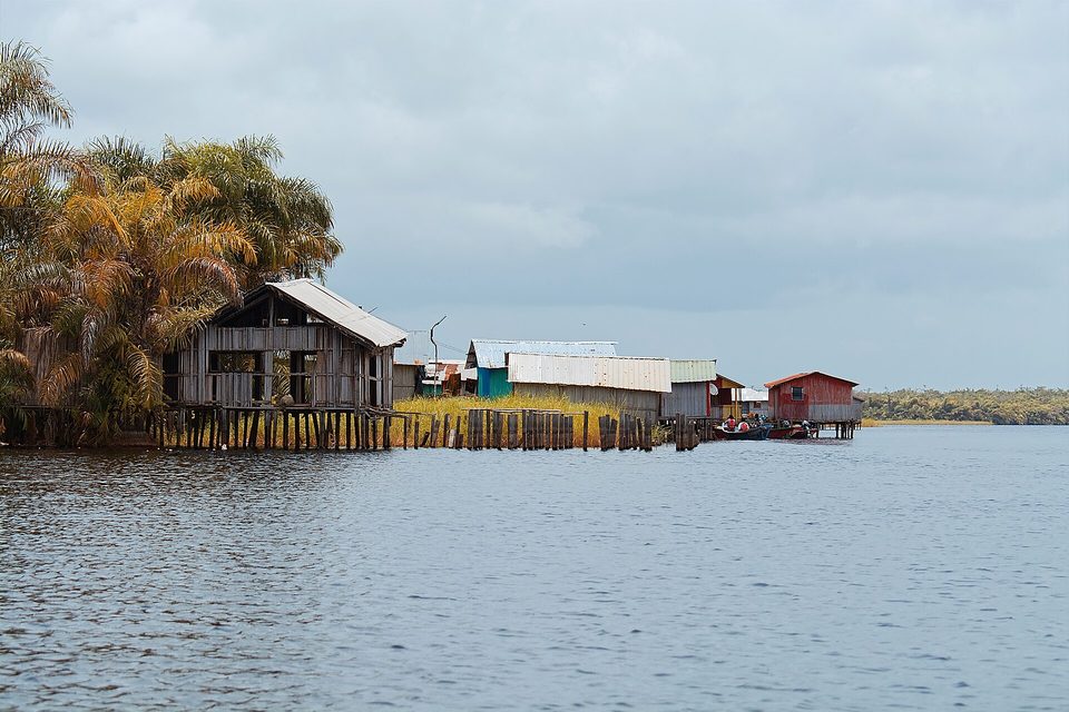 Houses on stilts at the edge of a village on a lake, with a palisade of poles and swamp forest beyond