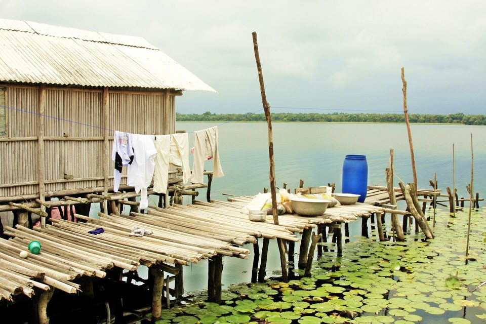 Platforms of poles over water lilies, with washing drying beside a house