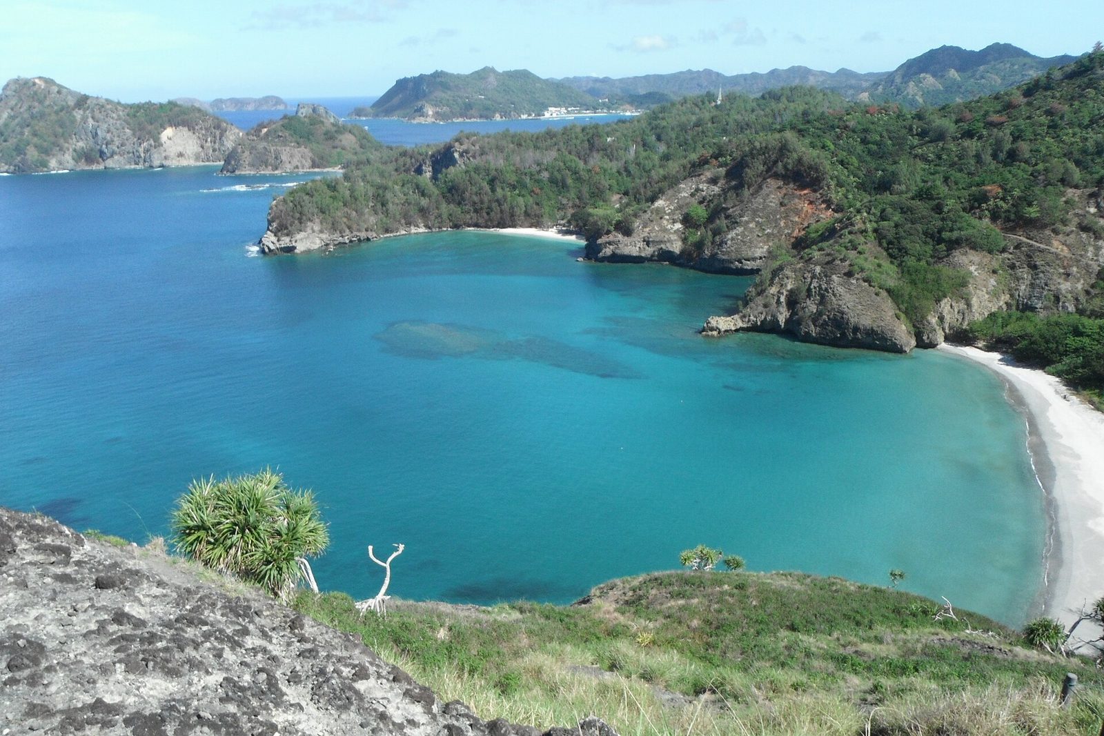 A turquoise bay with a white beach curving right, green headlands layered behind and a pandanus in the foreground