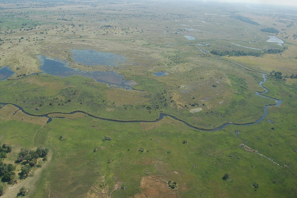An aerial view of green floodplain cut by a winding dark channel, with blue pools and scattered tree islands to the horizon