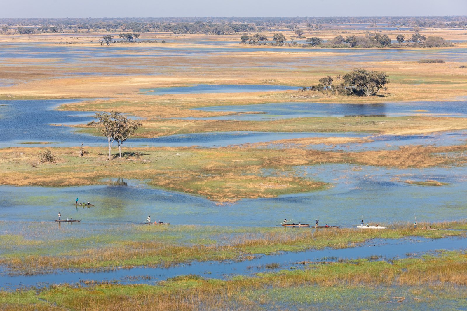 Aerial view of blue channels and shallow floodwater threading between golden grassland and low wooded islands, flat to the horizon
