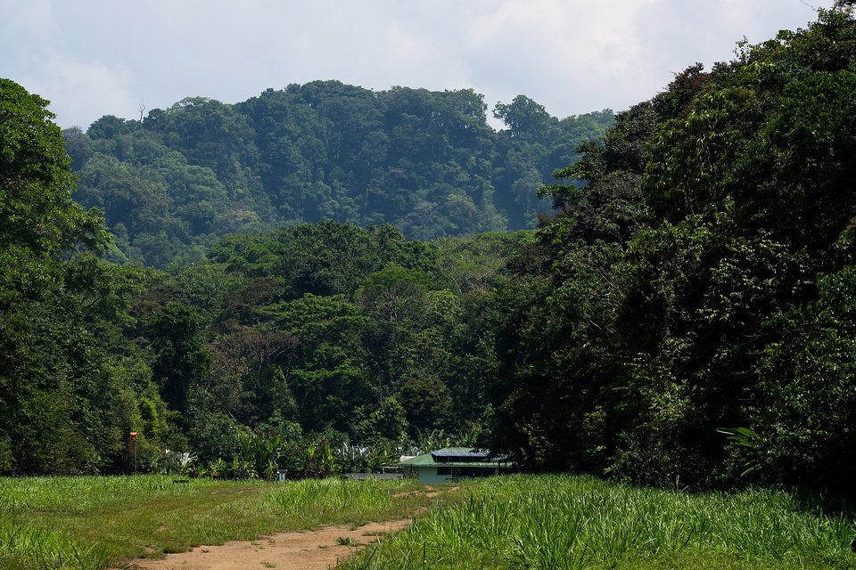 A grass airstrip leading to low ranger buildings below forested hills