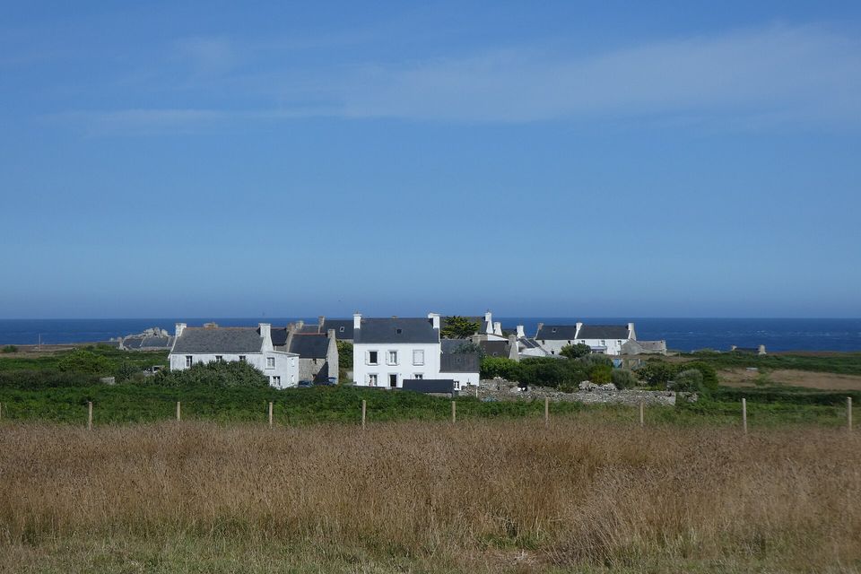 A cluster of white-walled cottages with dark slate roofs and tall end chimneys sits among green fields behind a strip of golden grass and a post fence, with deep-blue sea on the horizon