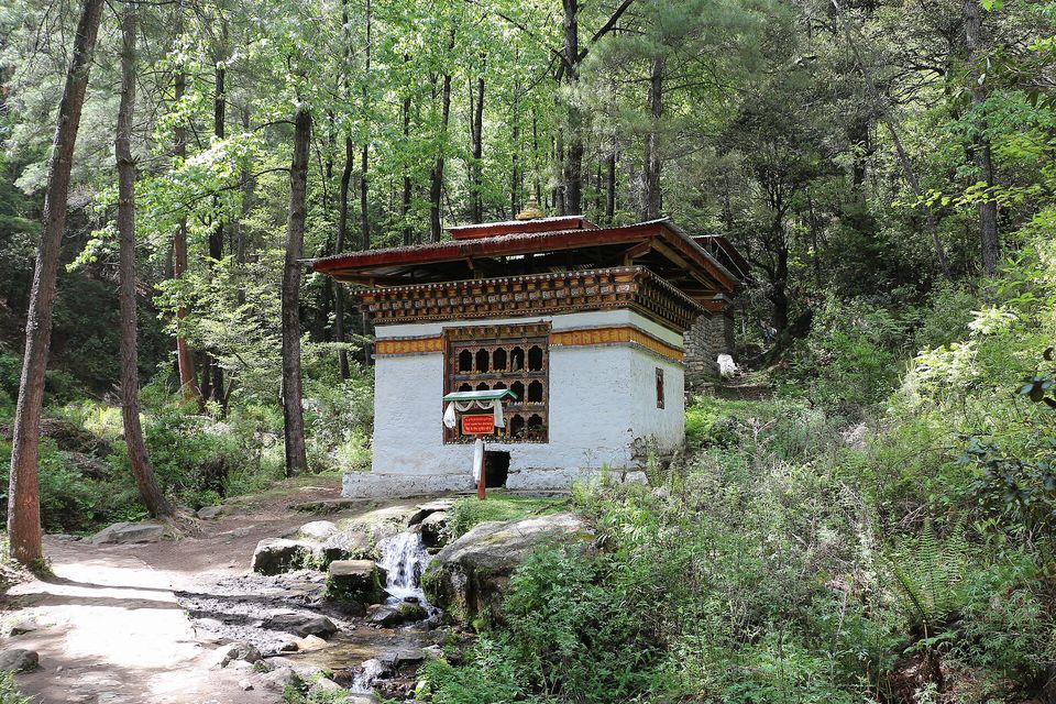 A small whitewashed shrine beside a forest path