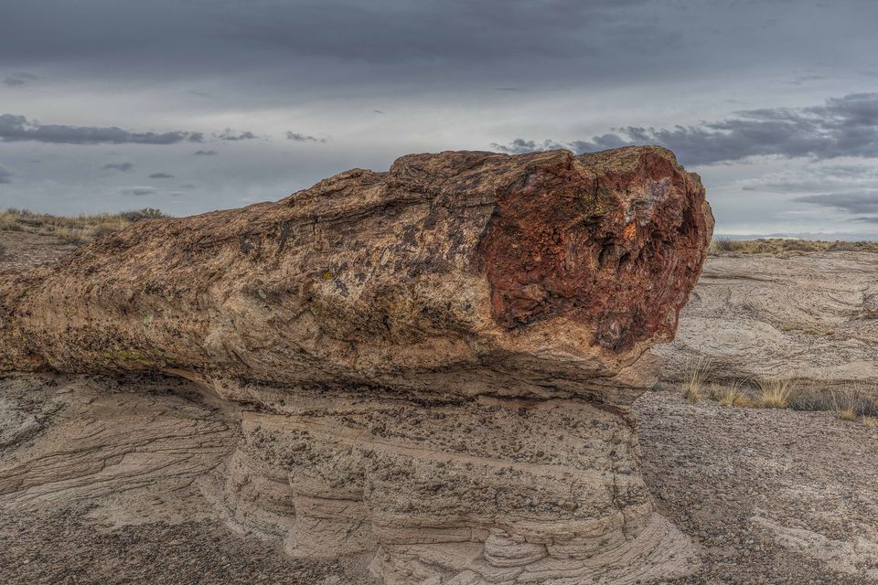A large segment of petrified wood in red and brown lying on banded rock under a cloudy sky