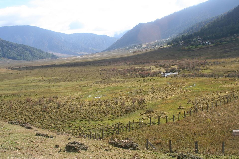 A broad valley of wet grassland and russet willow scrub with a small pond, a fence running up the near slope, and houses on the far hillside