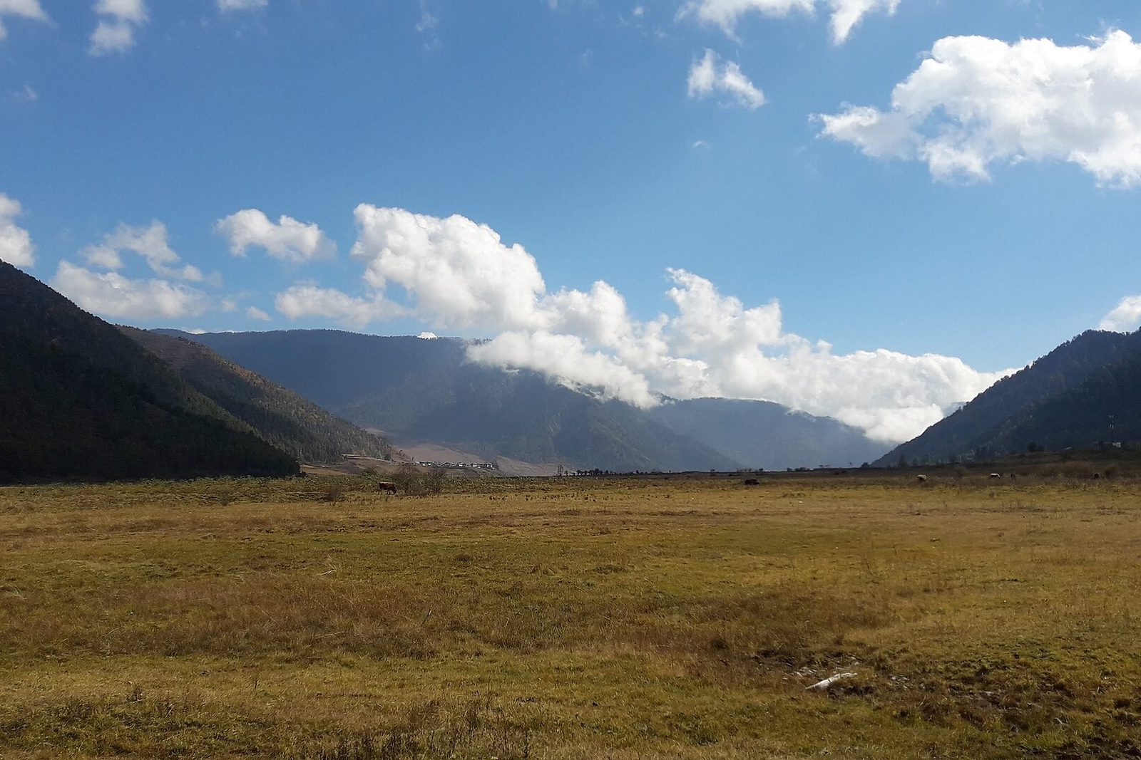 The wide glacial valley floor in early November, golden-green grass running to forested ridges, a bank of white cloud pouring over the far pass under a deep-blue sky