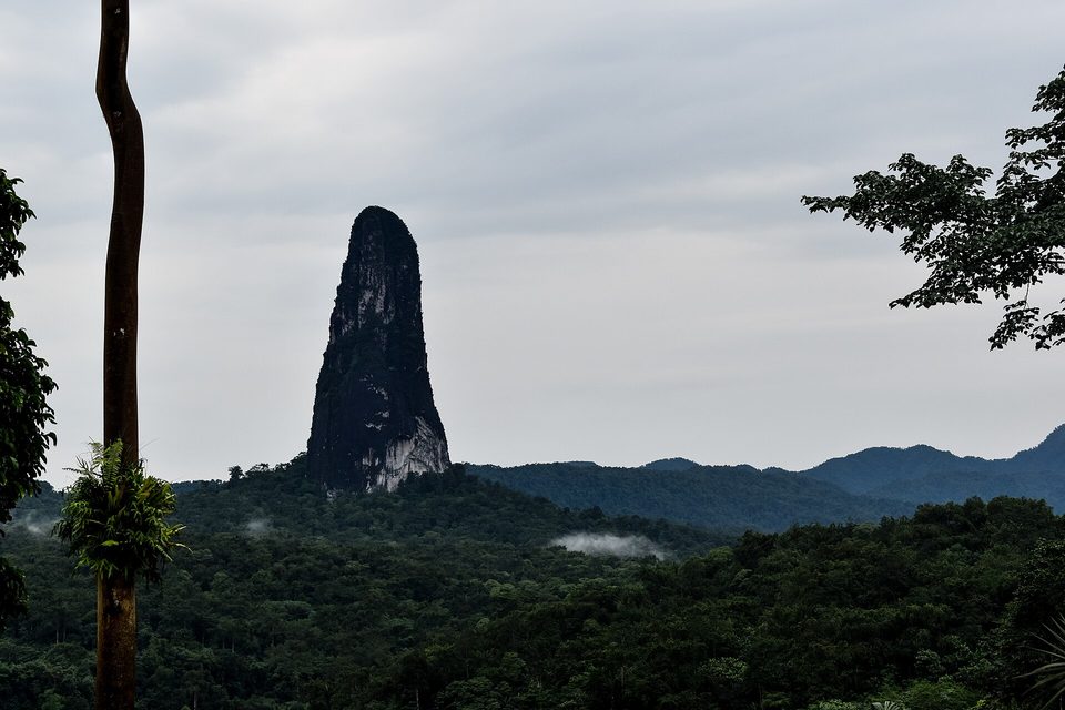 A rock needle over a forest canopy with mist rising from the valleys, a bare trunk at the left