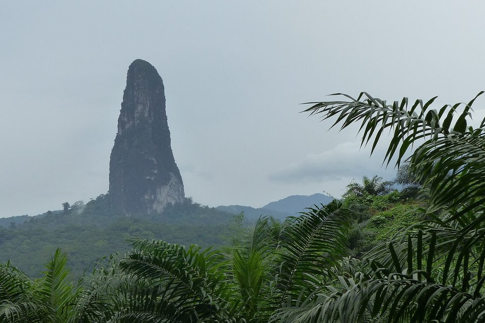 A rock needle rising behind palm fronds under a grey sky