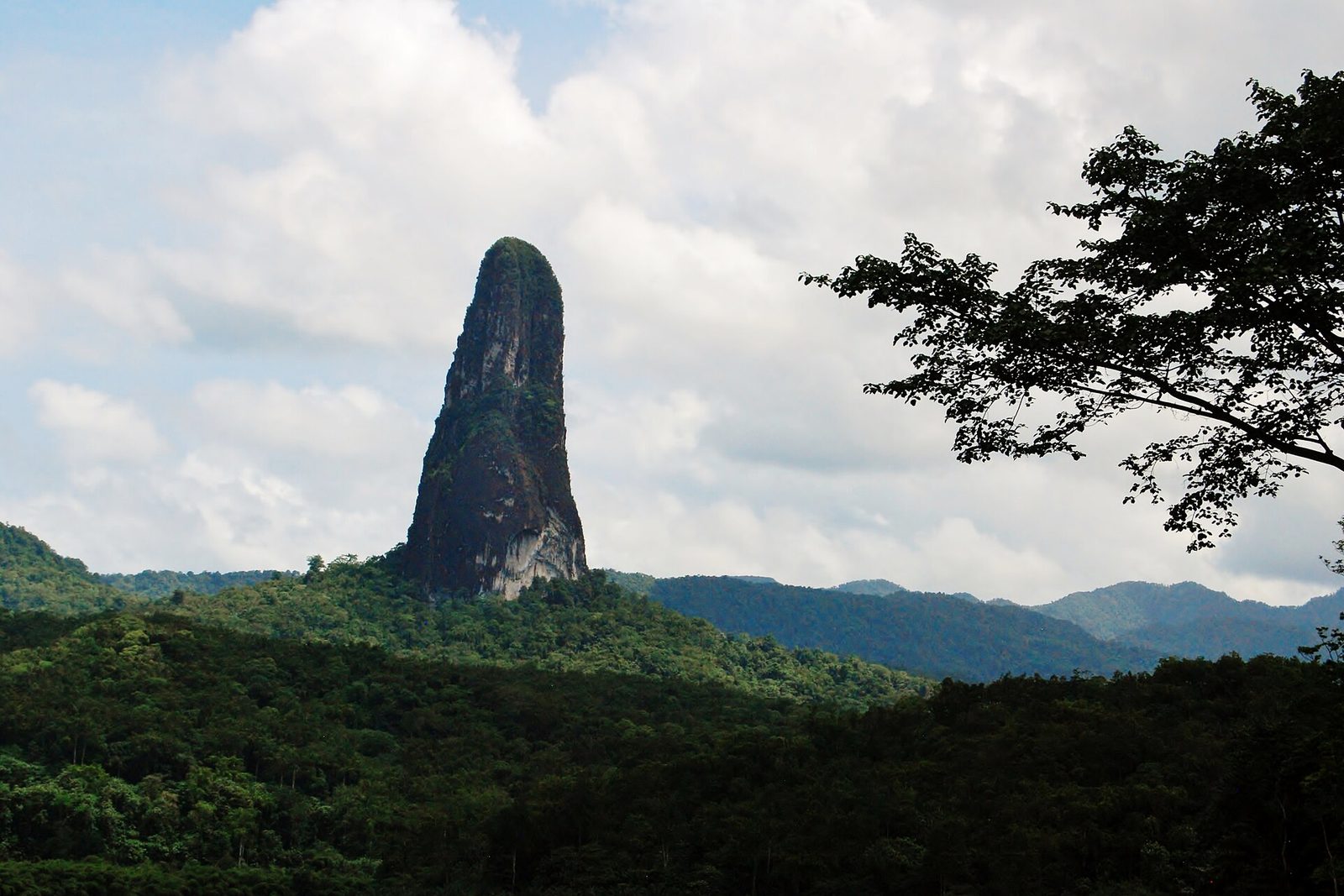 A grey rock needle rising alone above unbroken rainforest under broken cumulus cloud, a branch framing the right edge