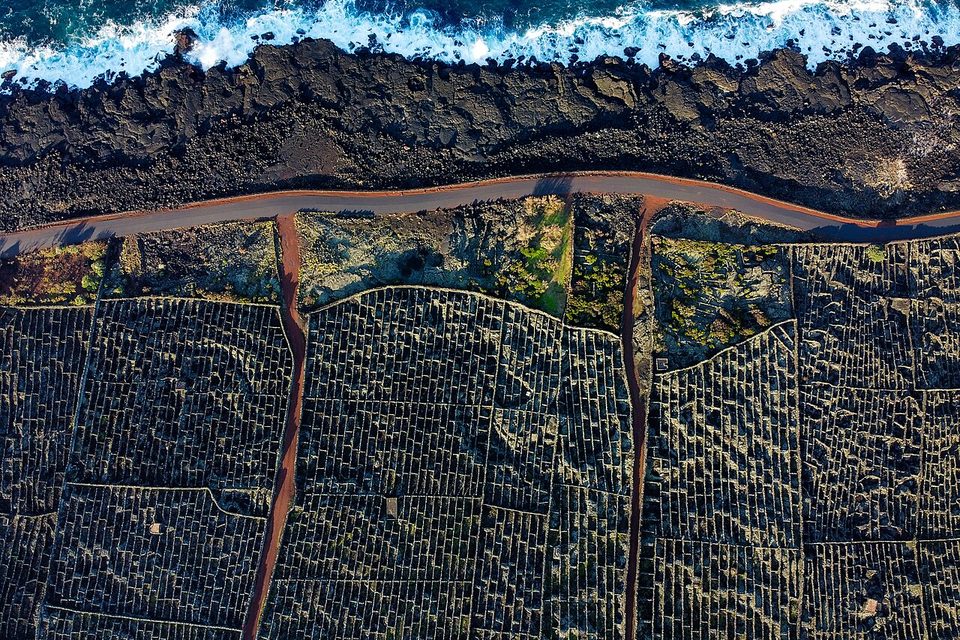 Looking straight down on thousands of small stone-walled vine plots running to the surf on black lava