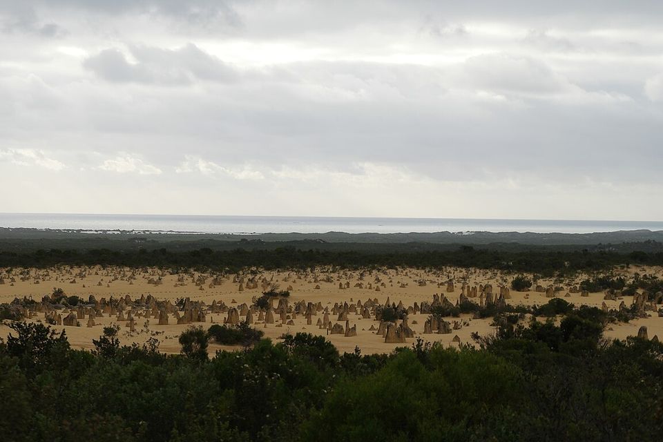 A broad sandy plain dotted with small limestone pillars beyond dark coastal scrub, a strip of sea on the horizon under heavy cloud