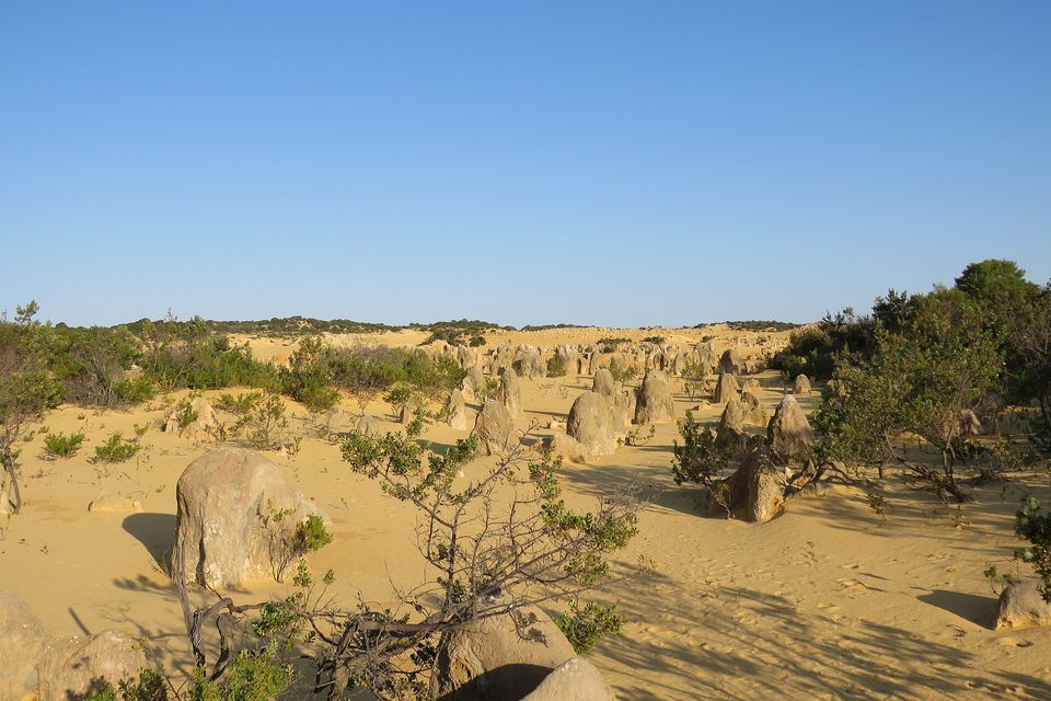 Scattered limestone pillars and low green shrubs on yellow sand under a deep blue sky, dunes and heath beyond