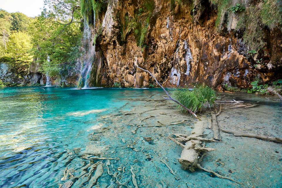 Fallen branches lying in clear turquoise shallows below a mossy tufa cliff with small waterfalls