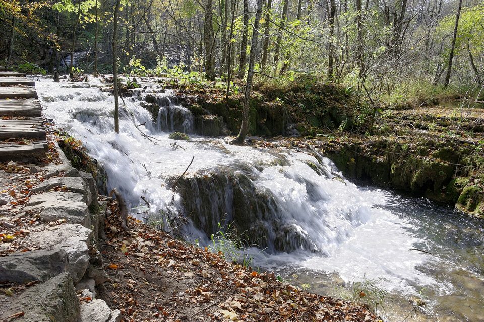 A small cascade over stepped tufa ledges among autumn leaves