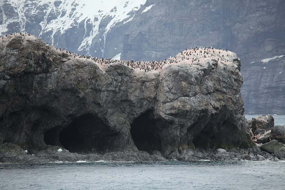 Chinstrap penguins scattered across dark rocks pierced by a cave