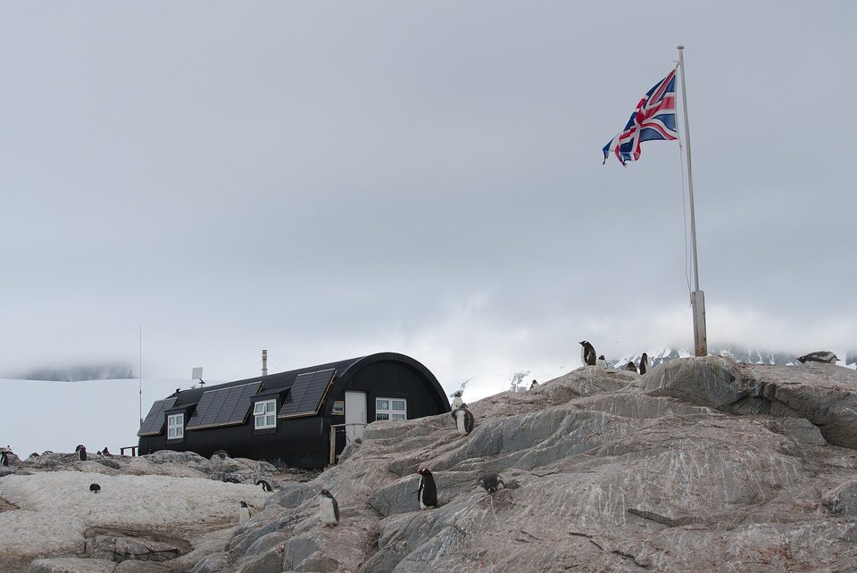 A black arched hut on grey rock, a Union flag flying on a tall pole, gentoo penguins standing on the rocks in front