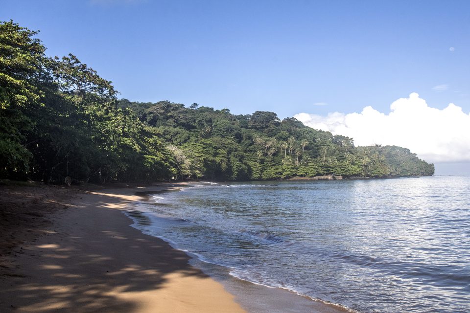 A curving beach of dark sand below a steep forested headland, calm blue water and a white cloud bank offshore