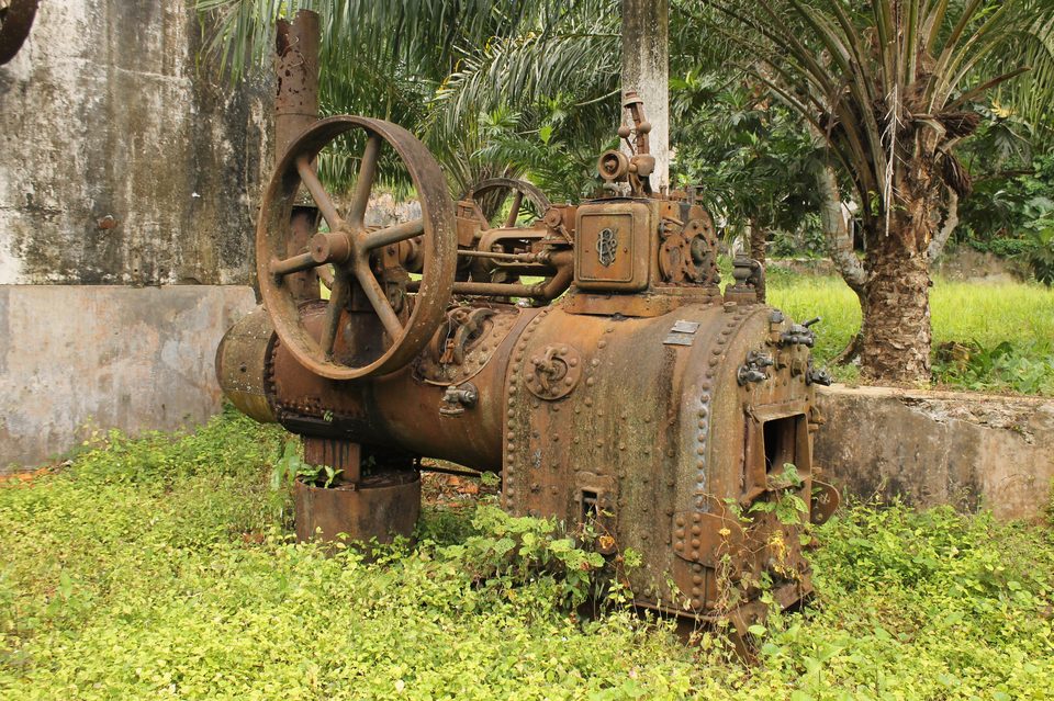 A rusted steam engine with a large flywheel standing in long grass beside a ruined wall, palms behind