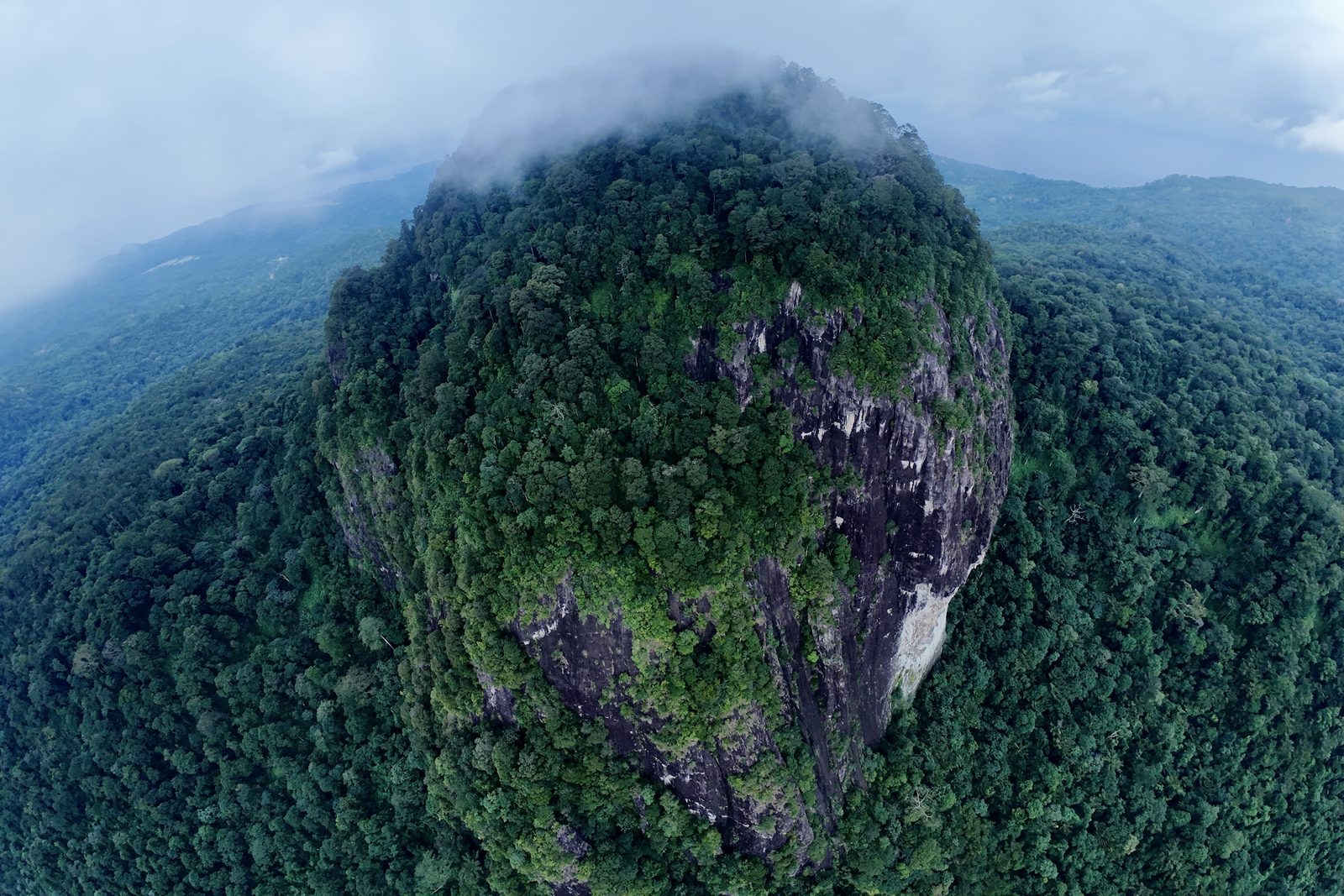 A steep volcanic peak covered in unbroken green rainforest seen from above, its summit wrapped in a cap of white cloud, forested ridges falling away behind