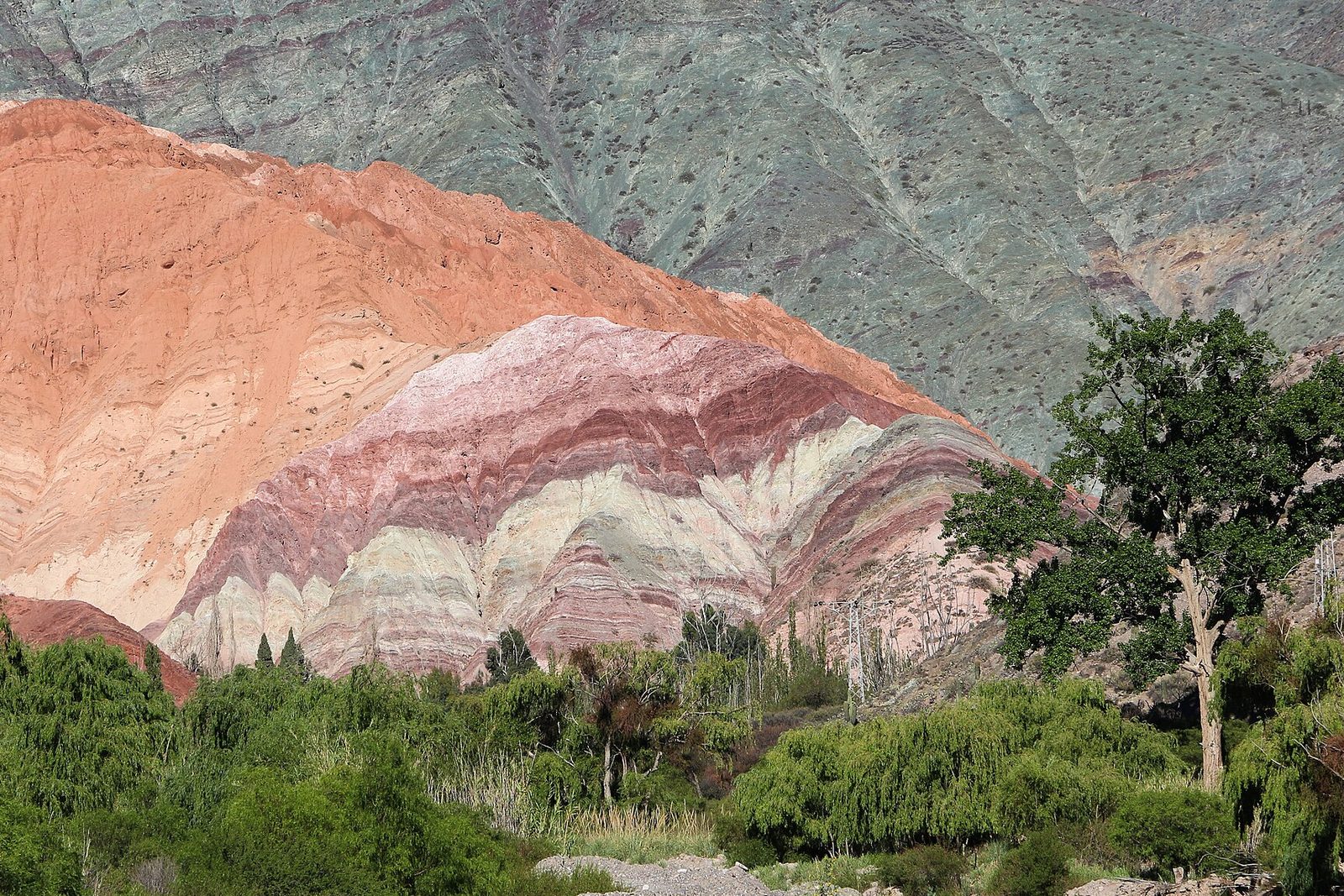 The hill close up: bands of rose, salmon, cream and maroon fold over each other below a grey-green mountainside, willows and poplars in front