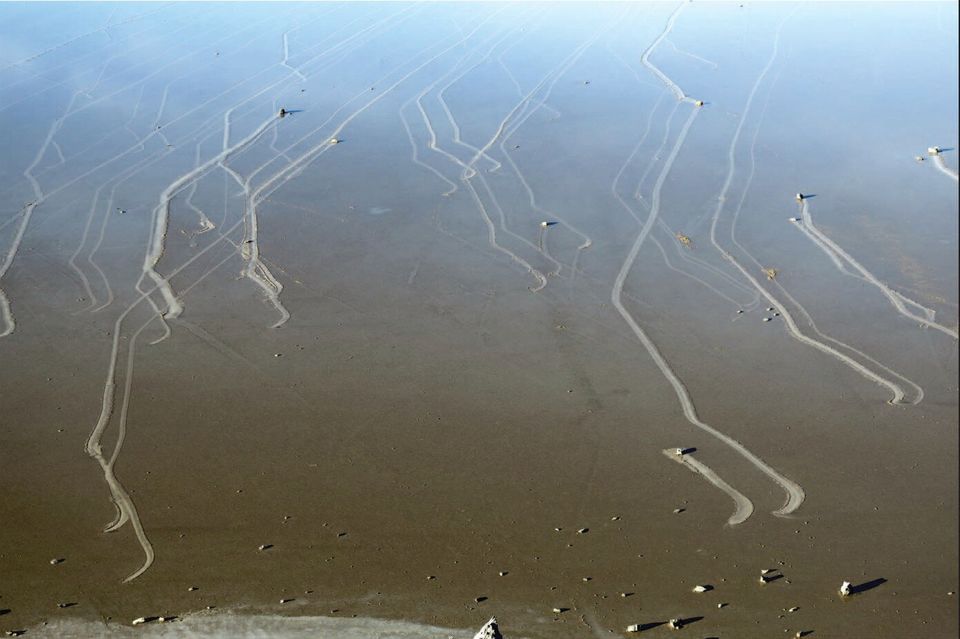 From above, dozens of long, wandering parallel tracks cross a wet brown playa, each ending at a small stone