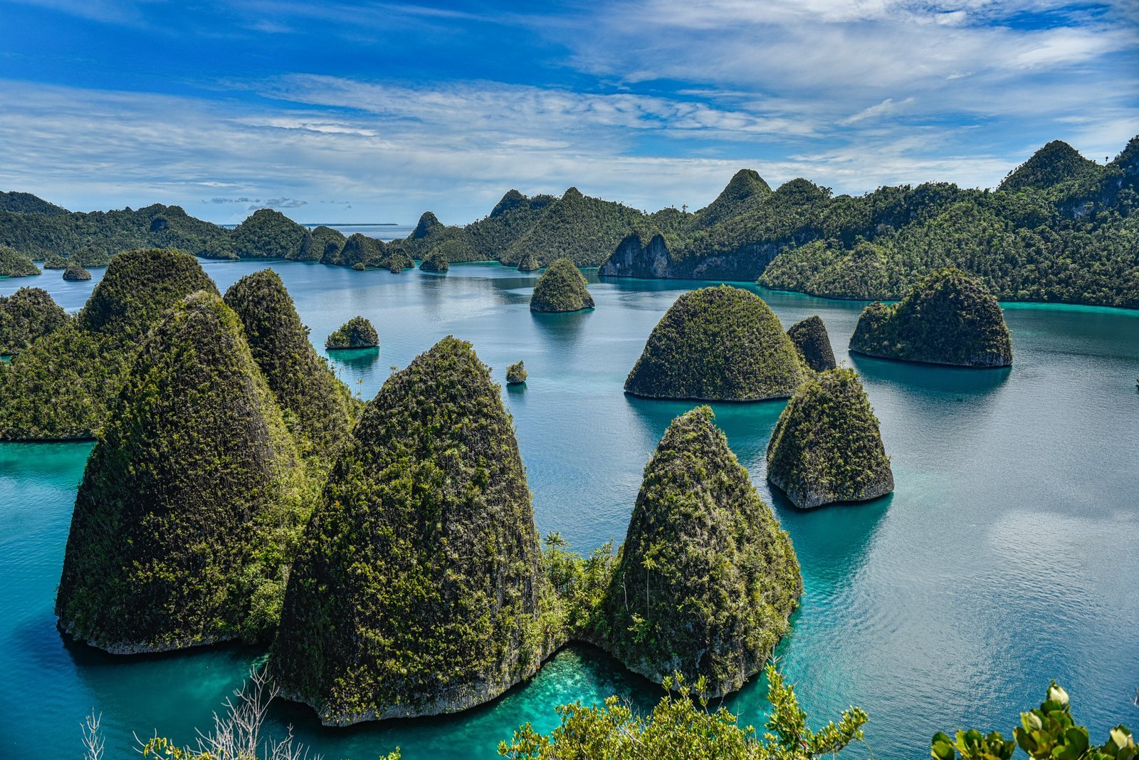 Dozens of steep limestone cones covered in green forest rising out of shallow turquoise water, receding to open sea at the horizon