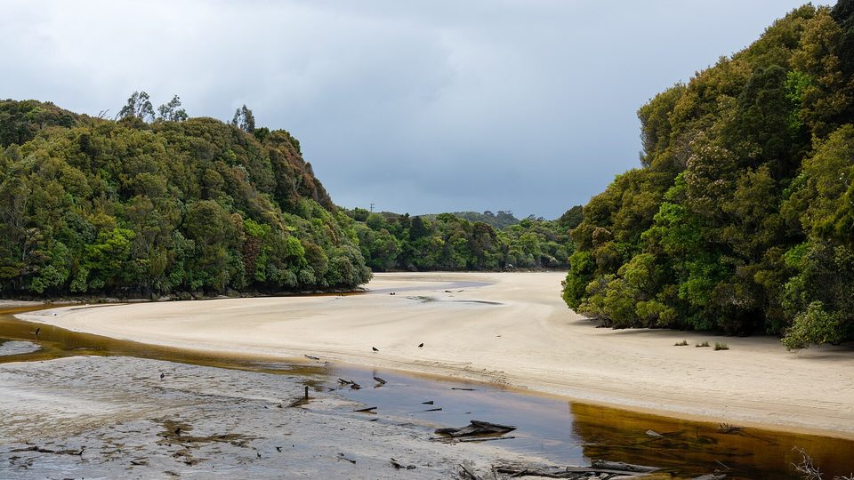 A sand estuary between bush-covered headlands under a storm sky