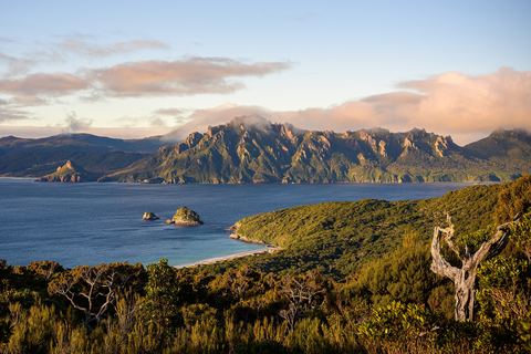 A jagged green mountain ridge lit gold by low sun rising from a blue bay, two small rocks off a pale beach, tangled coastal scrub and a bare dead branch in the foreground, pink cloud above