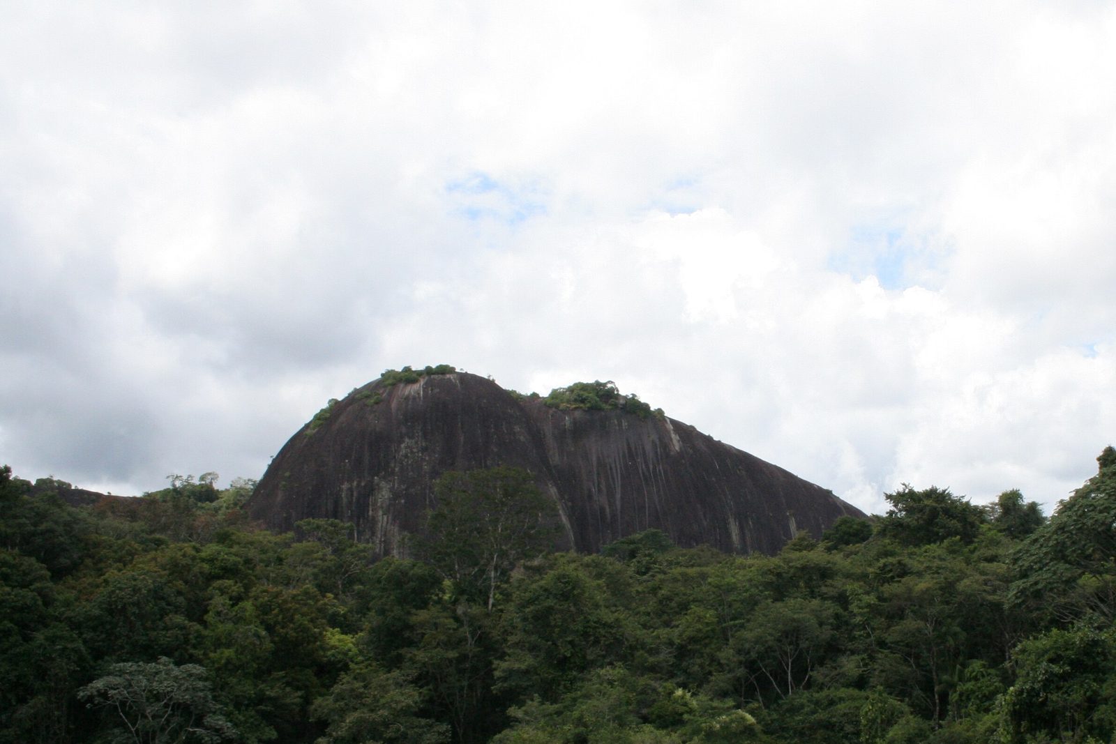 The Voltzberg's dark granite dome, streaked by rain, rises out of an unbroken forest canopy under a white-grey tropical sky