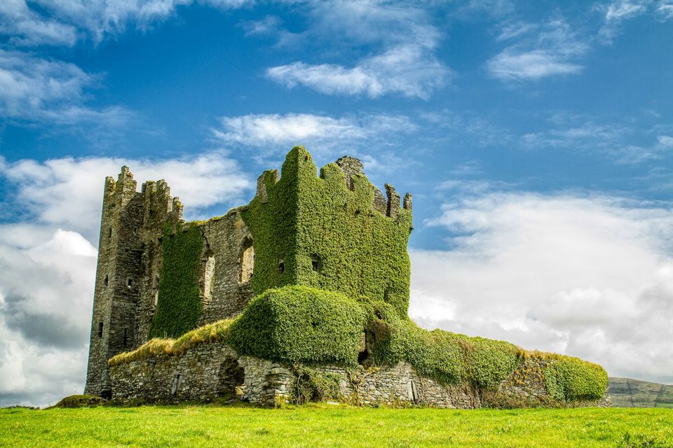 An ivy-covered ruined tower house in a green field under a pale sky