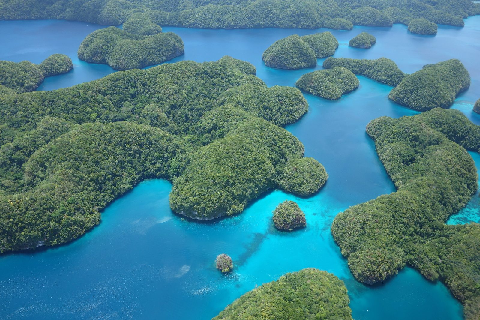 Dozens of forested rounded islets scattered through turquoise and deep-blue channels, one tiny islet alone in the shallows