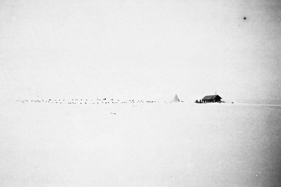 A tiny dark hut and a pale tent on a vast blank white plain, a long line of picketed dogs stretching away to the left