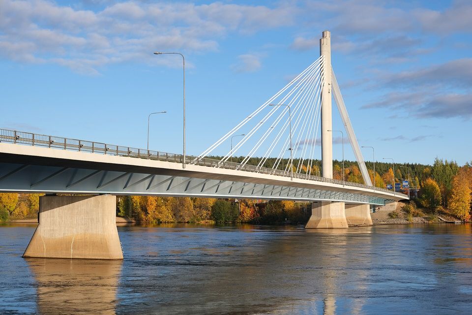 A cable-stayed bridge with a single white pylon crossing a wide river, autumn birches beyond under a blue sky